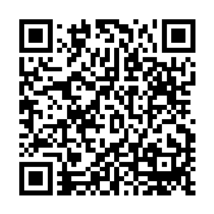 能够成为王族的第一标准表示族中至少有一名大乘期的修士二维码生成