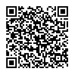 能够经营下去主要就是靠这样的团体会员和从社会上募捐到的款项二维码生成