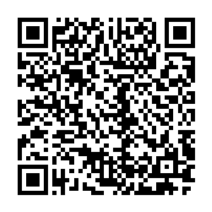 能够被眼前如此恐怖的存在称作是天大的机缘的存在肯定不会是简单的货色二维码生成