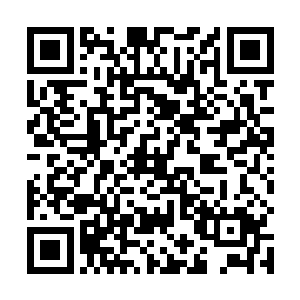 能够让他们的族人和后辈更加安全的在家族当中活下去二维码生成