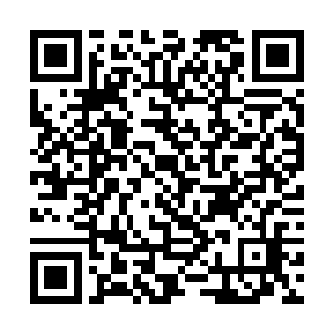 能够让李谦和齐洁对这家公司做出尽可能正确的解读二维码生成