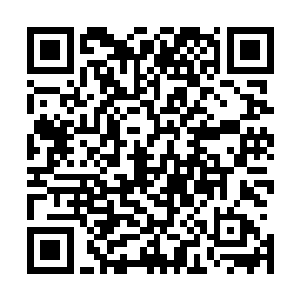 能够轻易治愈和恢复自身伤势的巨蟒面对这伤势也无可奈何二维码生成
