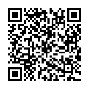 能将纯真娇憨性感神秘这四种不同的气质完美融合二维码生成