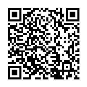 能拿出妖界纯种妖族的估计还真只有我们商修者了二维码生成