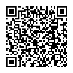 能被王世子单枪匹马找出十多个通用漏洞绝对是一件能轰动整个业界的二维码生成