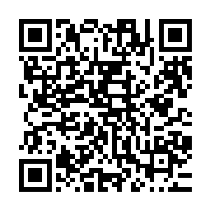 能让叶楚情不自禁想里昨晚在睡裙里毫无遮挡的挺翘娇和圆润二维码生成