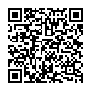 脑中就闪过长生刚才用力咬着元辰夕的柳条时喉咙也在动的样子二维码生成