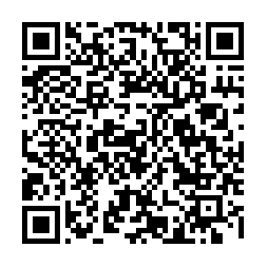 脑子里还记着要问问龙战要怎么计划但还没开口眼皮就沉的慢慢的合上了二维码生成