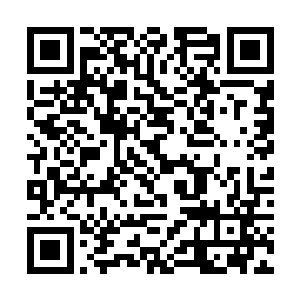 脑海中却浮现出老大用血煞之气压制格式能量的一幕二维码生成