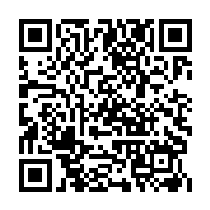 脑海中影影绰绰浮现出了几十枚微微发红的晶片二维码生成