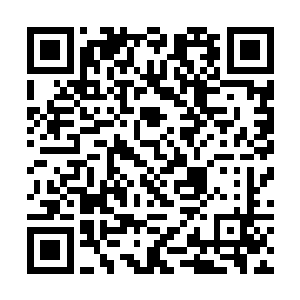 脑海中浮现出他在上古世纪时和莎儿一起经历的一切二维码生成