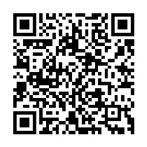 脑海之中仿佛浮现出了当初这块地方还没有完全化为废墟的模样二维码生成