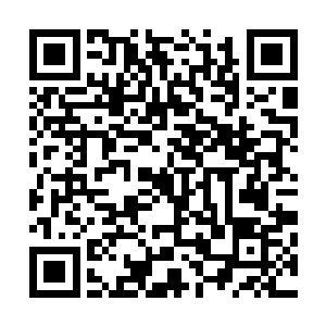脑海里却是在飞快寻找如何能够说服轮回殿殿主出手的理由二维码生成