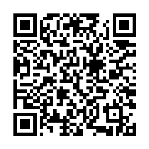 脑海里就不自觉的浮现梨树村会在当时是怎样的景象二维码生成
