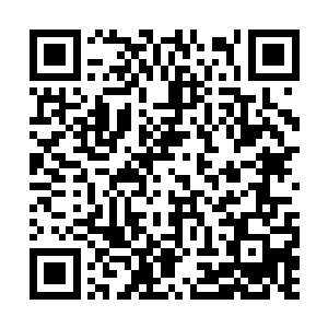 脑海里开始不自禁的反复的推理起那一条条的定理二维码生成