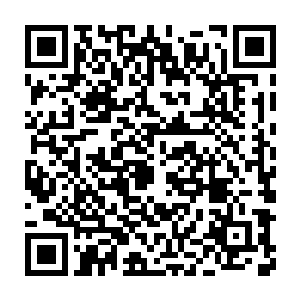 脸上生动的表情肯定比一贯在平京懒洋洋玩世不恭的那个家伙真实多了二维码生成
