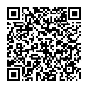 脸上表情同样刚毅无比的年青神官有序地跟随着其它骑士小队开始行动起来二维码生成