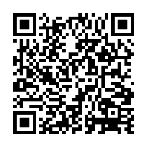 脸红害羞的男生会变成现在这样一个杀人不眨眼的恶魔二维码生成