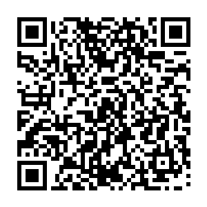 腾龙殿的门前便出现了先前被李二娃给拒之门外的东方世家送礼前来的男子二维码生成