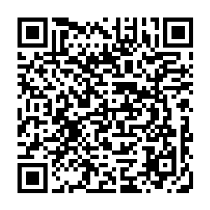 膝盖上――全身除了军用皮靴保护较好的脚板外几乎没有任何一个完好的地方二维码生成