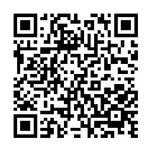 臣今天身体不适……恐怕没办法……咳咳……没办法进宫二维码生成