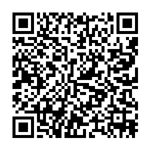 臣女从您喜欢听的曲目以及您宫殿中挂的那些画和诗词里揣测出来的二维码生成