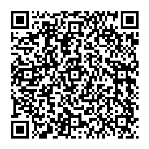 自从一家小报刊登了一条木乃伊说话事件是由某位无良导演为了宣传新片而故意弄出来的恶作剧的消息后二维码生成