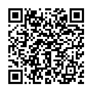自从上次依莲娜前去皇后宫里找茬被秦洛给态度强硬的反击回去二维码生成
