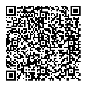 自从上次受伤到回到九泉后萧风从沒有一刻像现在这么豪情高涨在这个弱肉强食的社会里有实力拳头硬才能混得开活得潇洒二维码生成