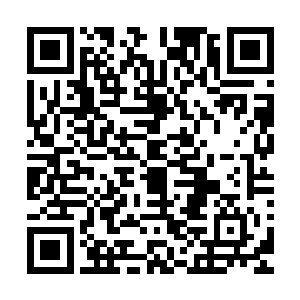 自从上次那个极为嚣张的海江宗少门主孟权出现在万明宗以后二维码生成