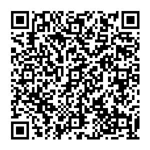 自从上次龙傲天说要给他一柄比上次用来烤肉要好上无数倍的武器之后格里斯就一直念念不忘二维码生成