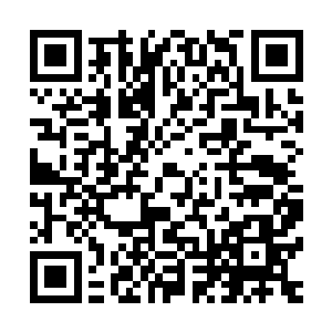 自从大学毕业后就再也没有像这样在马路上漫无目的的走过了二维码生成