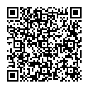 自从巴克有次过去正好撞见俩小姑娘好奇的把娜塔莎留在公寓的内衣翻出来在比划试穿二维码生成