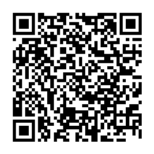 自从知道几人是第一次出来执行任务后就一路上一直为几人讲解注意事项二维码生成