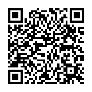 自从雷林上次使用血怨药剂将精神力提升到临界点之后二维码生成