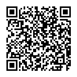 自以为凭借自己地仙的实力足以统治整个世界而完成组织交代交代下来的目标二维码生成