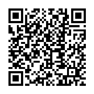自家血脉提升的关键其实是结合一个当下仅仅是伯爵的家族血脉二维码生成