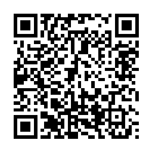 自己一个小小洞主在殿主眼里恐怕还真比不上一根梅枝二维码生成