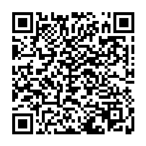 自己一米八的体型虽然说不上娇小但是握在这两款手枪上总觉得不太合手二维码生成
