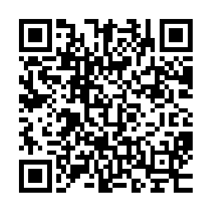 自己主动往死路上跑……看来咱们这一单生意接的算是最轻松二维码生成