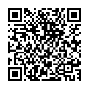 自己也不该凭着疾医的一席话就冲动的把殷暖弄到这审讯堂来二维码生成