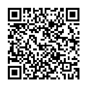 自己也可以现在也可以准确的捕捉到这雪狐的具体位置二维码生成