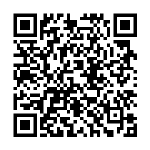 自己也没有接到任何的密保说六王爷已经到了死亡森林二维码生成