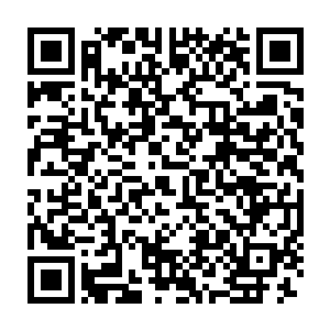 自己似乎低估了杨开在百灵大陆这边的地位和百灵大陆主人对他的看重二维码生成