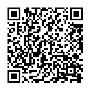 自己几个人真的如此轻松的通过了在修真界中鼎鼎大名的乾坤宗的护山大阵二维码生成