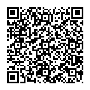 自己原本十拿九稳的阻截计划居然会被愤怒和楚旬等人以灭世天火和血修罗所破坏二维码生成