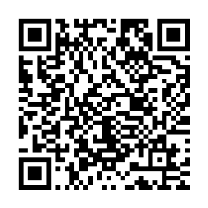 自己去东国大学不仅仅是要一个名声和一个毕业证这么的简单二维码生成