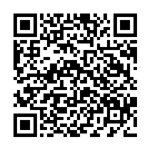 自己在开发组没有明确的指令下达时也可以自行其是二维码生成