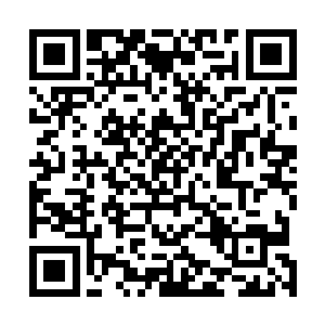 自己就是一个不畏强权坚守医德和良心的新时代医生楷模二维码生成