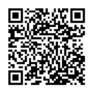 自己应该用全部的爱无怨无悔无所不知地包容和成全她啊二维码生成